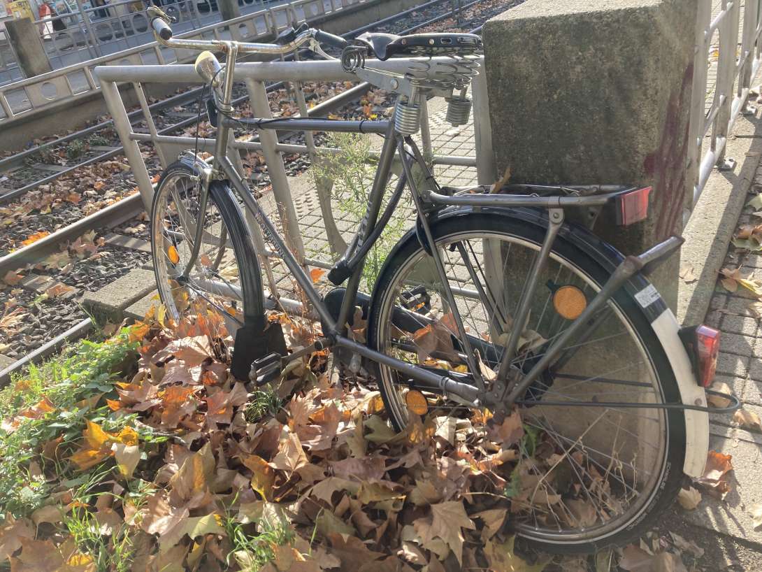 Bild zu gemeldetem Anliegen vom *2025-11-10 13:28:36