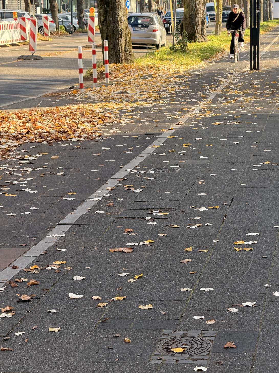 Bild zu gemeldetem Anliegen vom *2025-11-11 15:29:11