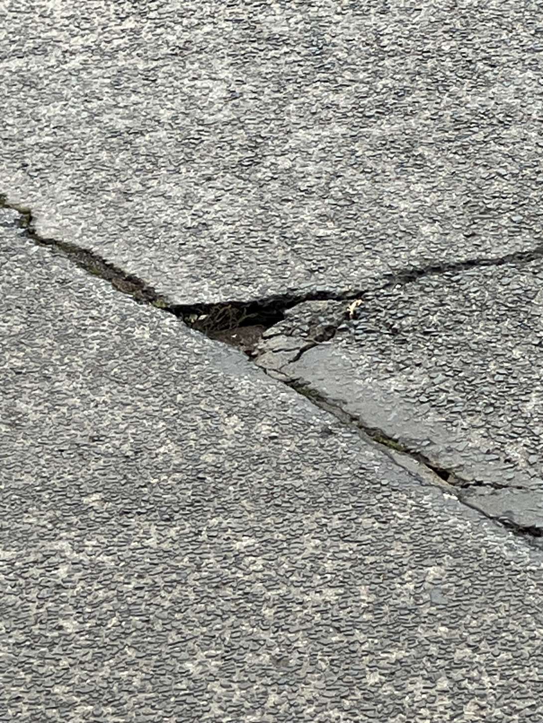 Bild zu gemeldetem Anliegen vom *2025-11-26 14:57:37