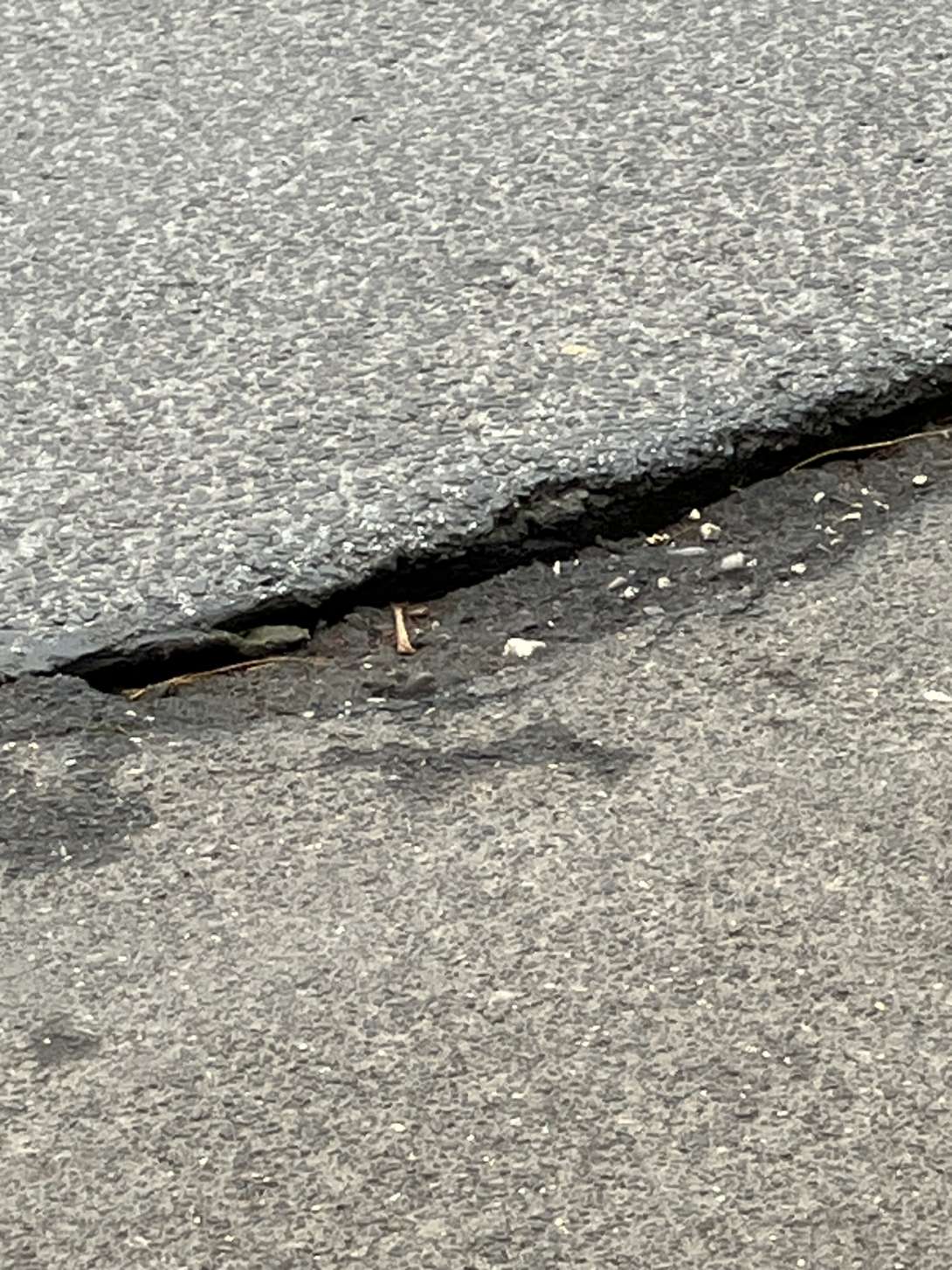 Bild zu gemeldetem Anliegen vom *2025-11-26 15:00:17