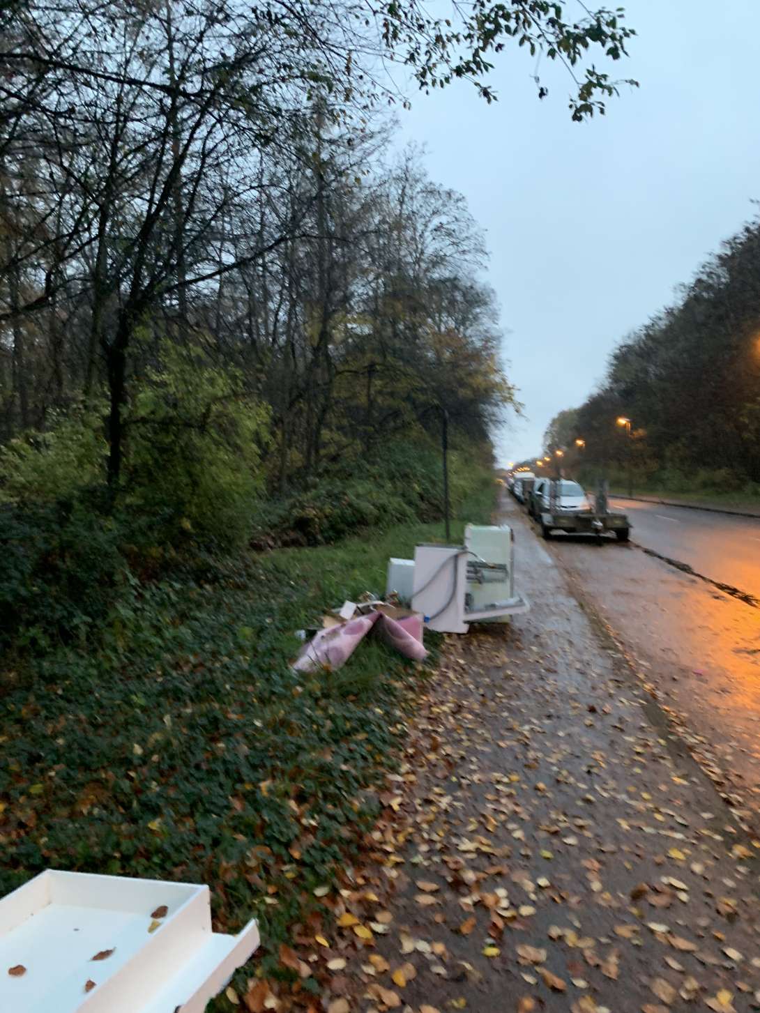 Bild zu gemeldetem Anliegen vom *2025-11-17 14:14:10