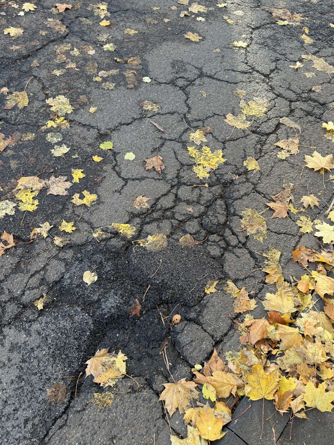 Bild zu gemeldetem Anliegen vom *2025-11-02 15:39:19