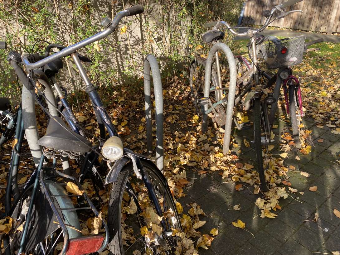 Bild zu gemeldetem Anliegen vom *2025-11-07 12:27:22