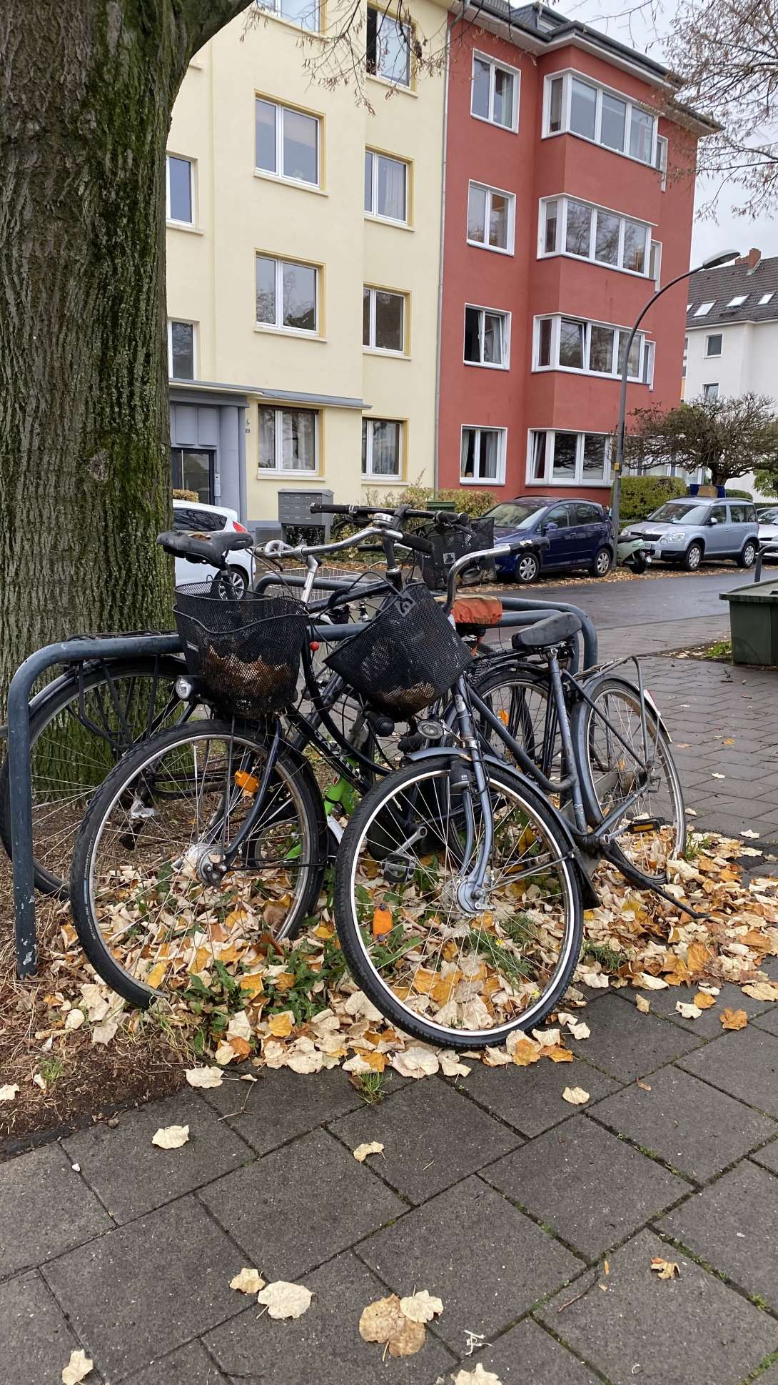 Bild zu gemeldetem Anliegen vom *2025-11-15 10:50:59