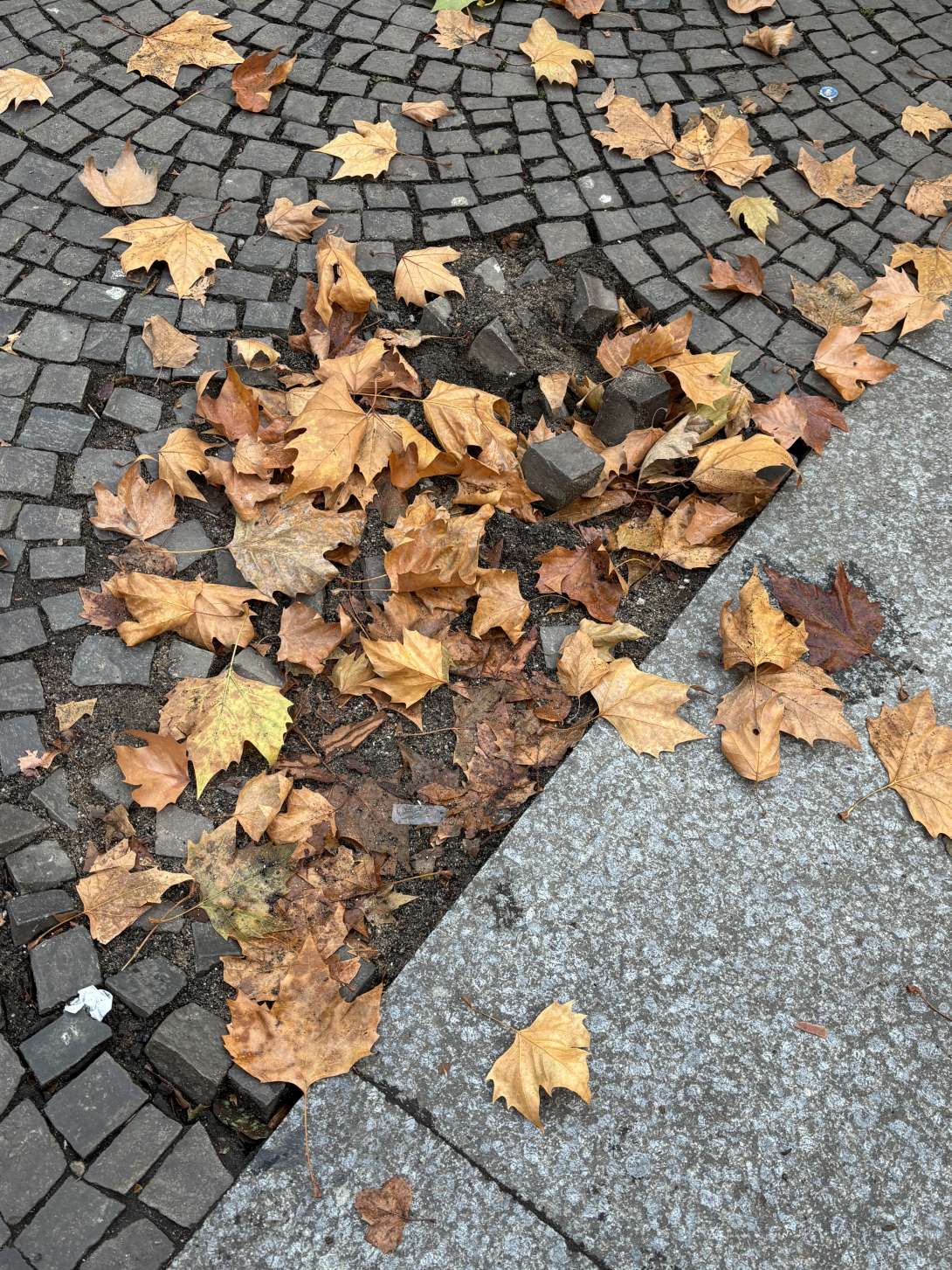 Bild zu gemeldetem Anliegen vom *2025-11-20 22:24:09