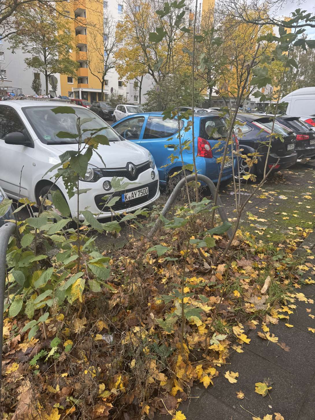 Bild zu gemeldetem Anliegen vom *2025-11-04 17:42:30