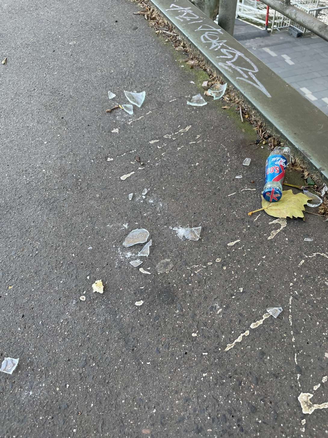 Bild zu gemeldetem Anliegen vom *2025-11-05 16:14:03