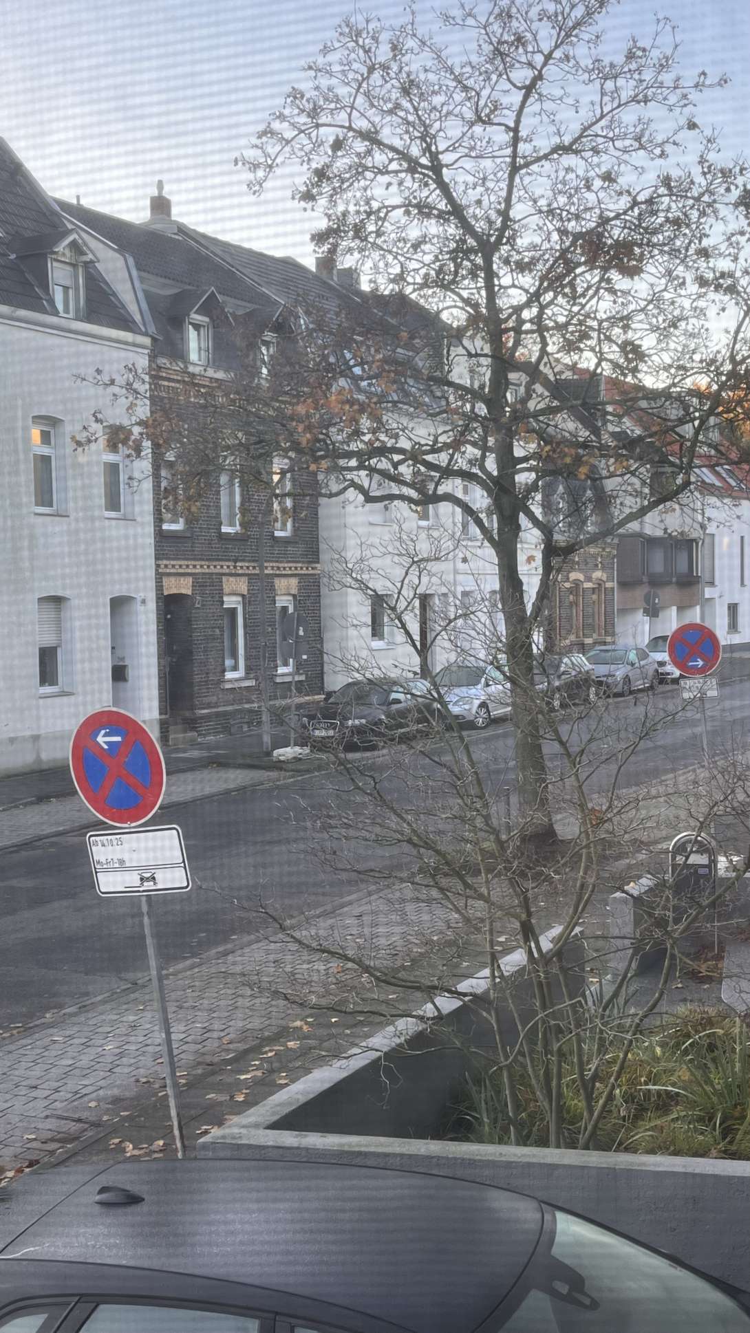 Bild zu gemeldetem Anliegen vom *2025-11-03 08:16:18