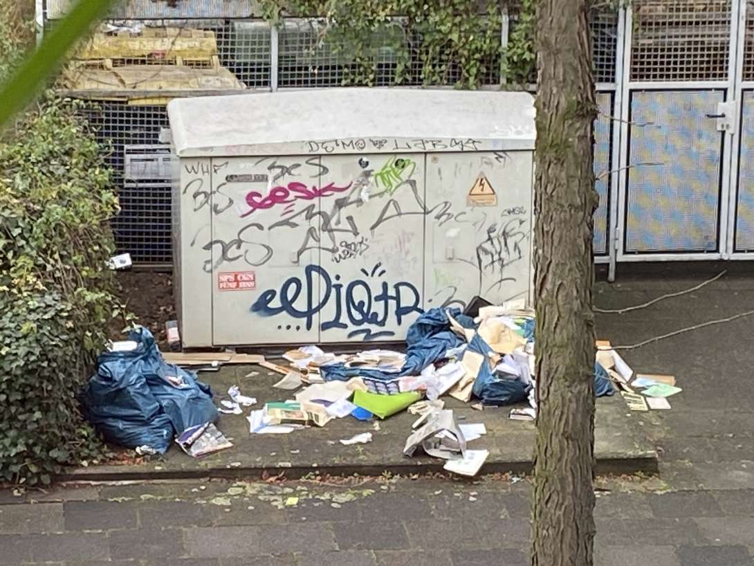 Bild zu gemeldetem Anliegen vom *2025-11-17 14:48:43