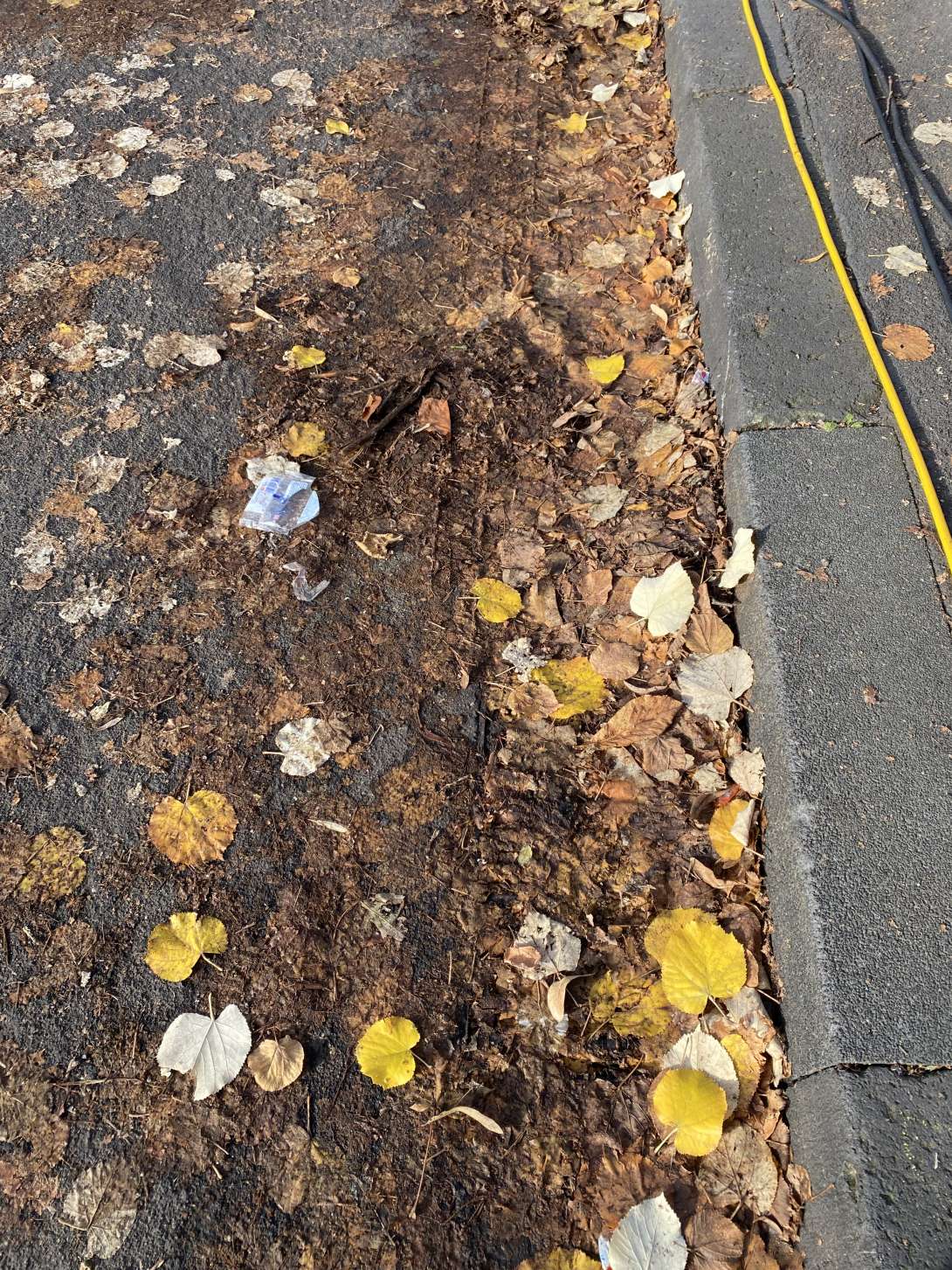 Bild zu gemeldetem Anliegen vom *2025-11-12 09:31:52