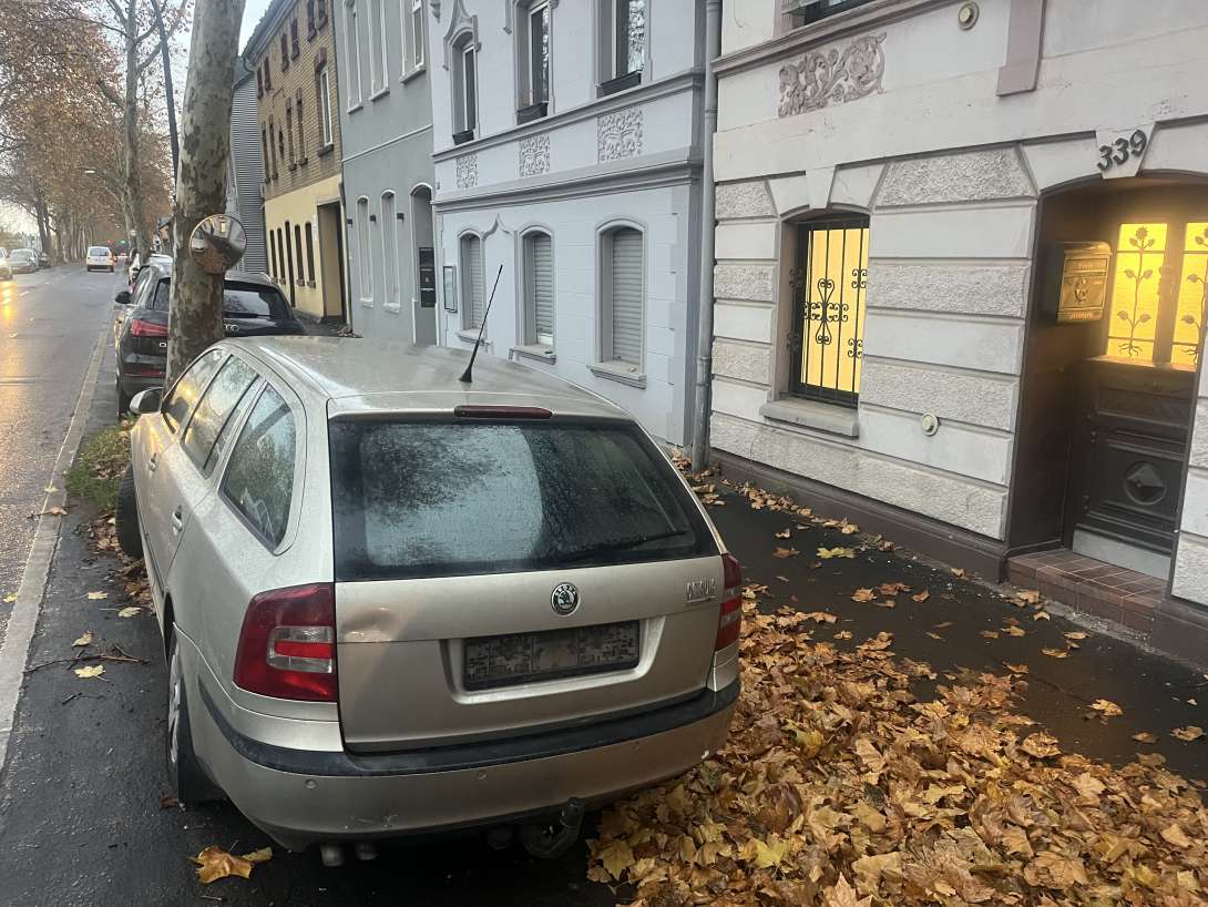 Bild zu gemeldetem Anliegen vom *2025-11-15 06:30:01