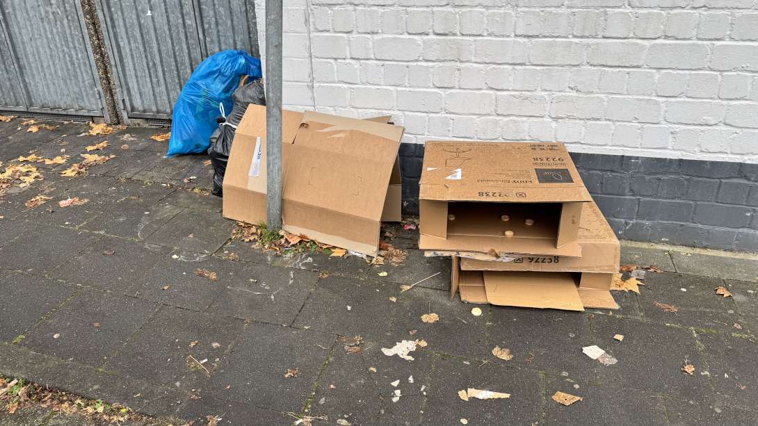 Bild zu gemeldetem Anliegen vom *2025-11-26 14:52:01