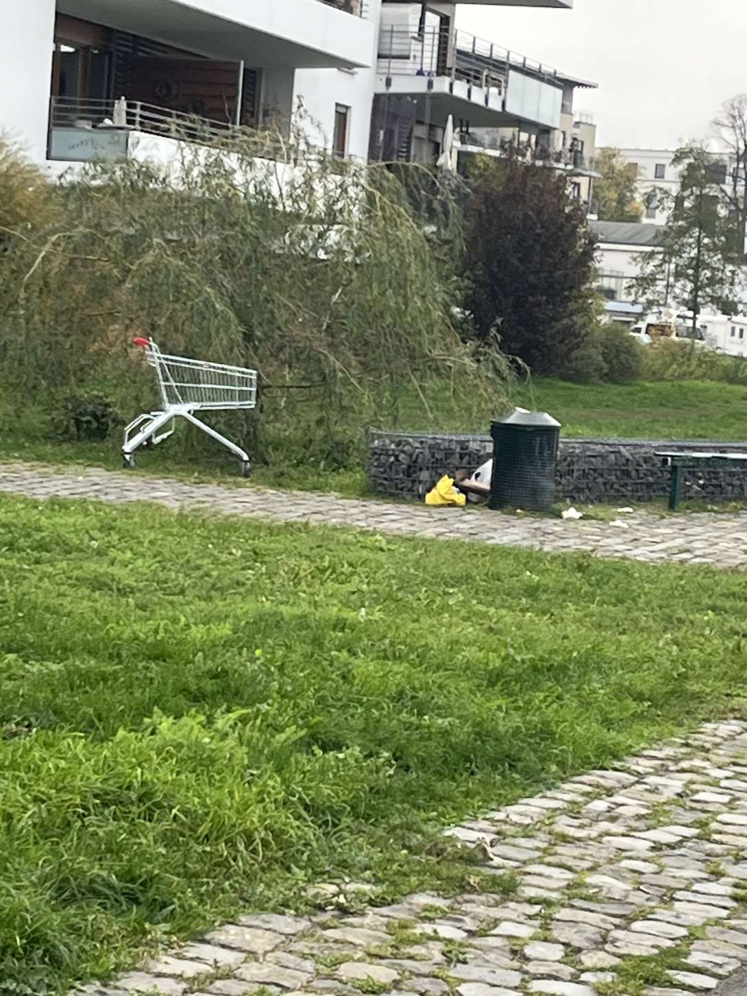 Bild zu gemeldetem Anliegen vom *2025-11-10 08:40:14