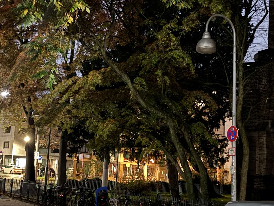 Bild zu gemeldetem Anliegen vom *2025-11-05 12:42:17