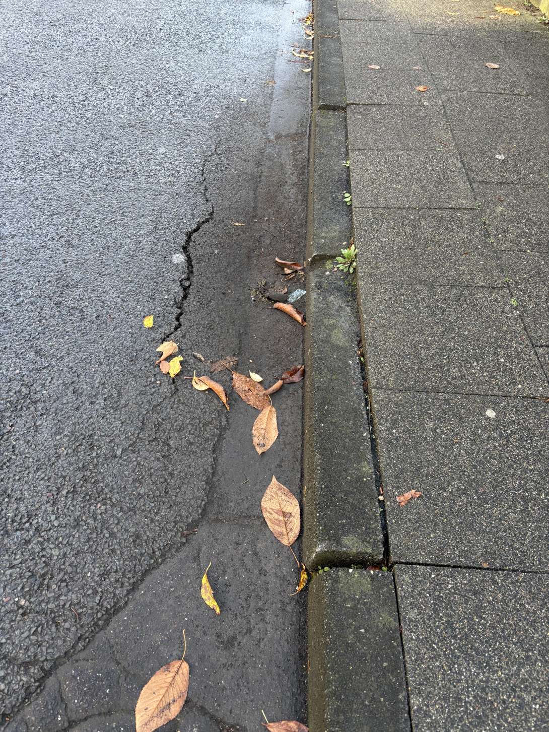 Bild zu gemeldetem Anliegen vom *2025-11-11 16:30:47