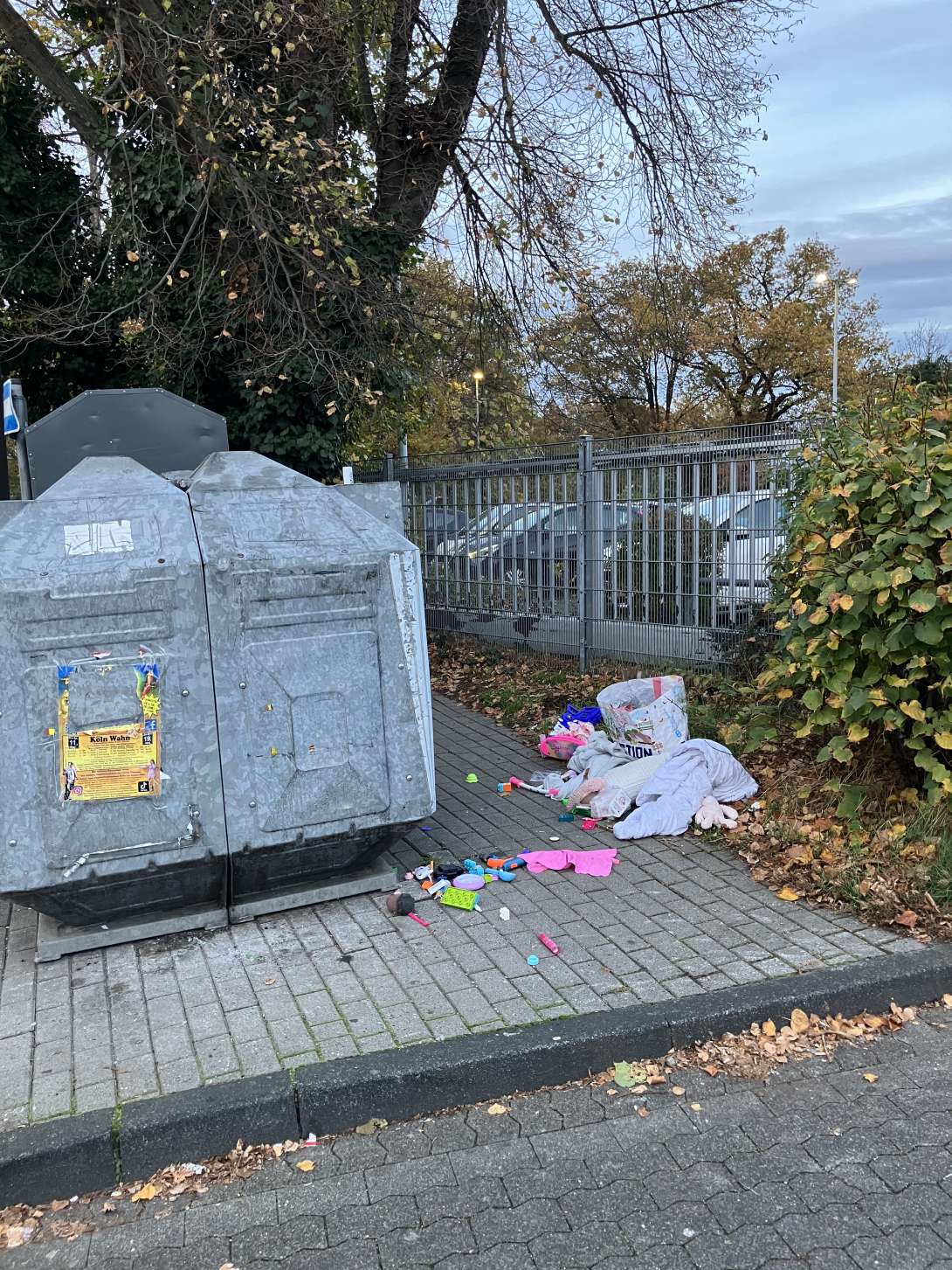 Bild zu gemeldetem Anliegen vom *2025-11-10 17:44:01