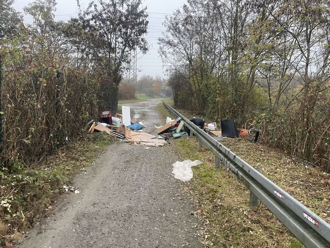 Bild zu gemeldetem Anliegen vom *2025-11-10 10:12:21