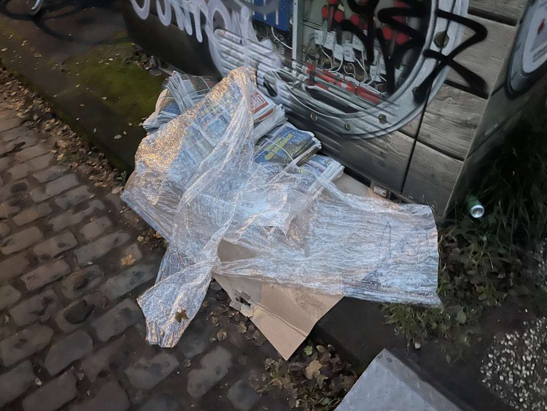 Bild zu gemeldetem Anliegen vom *2025-11-29 16:57:25