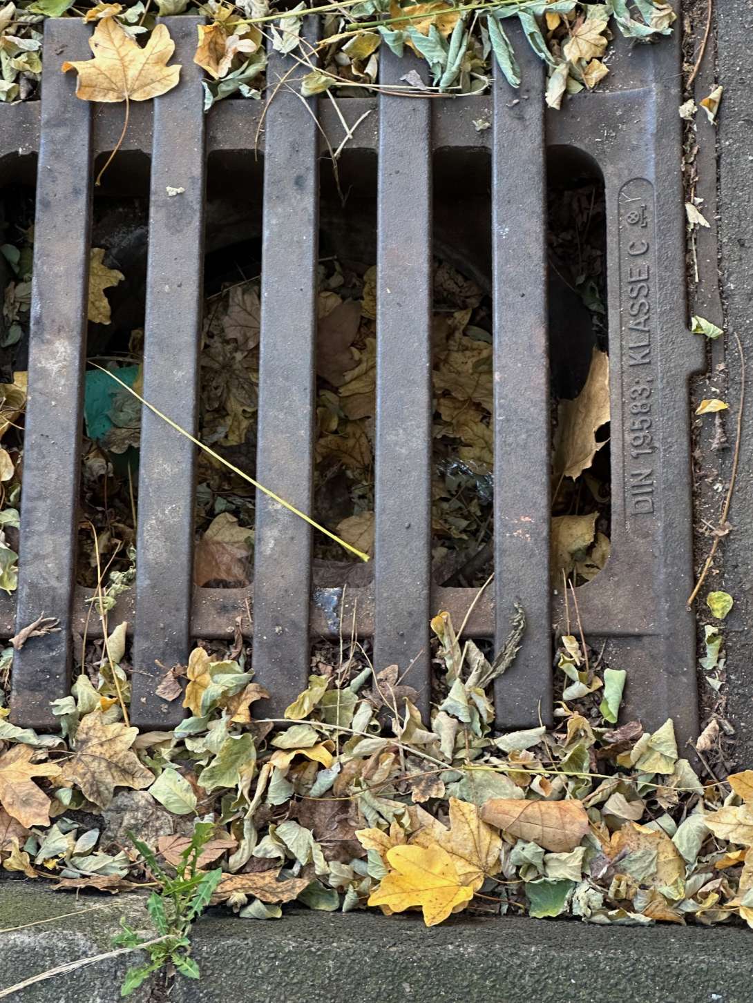 Bild zu gemeldetem Anliegen vom *2025-11-09 17:12:11