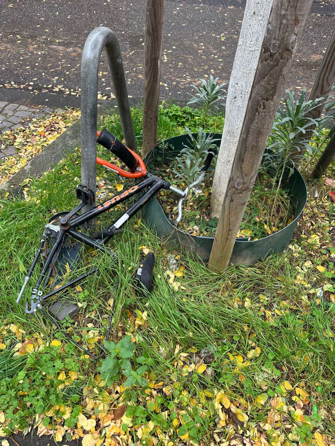 Bild zu gemeldetem Anliegen vom *2025-11-09 15:36:22