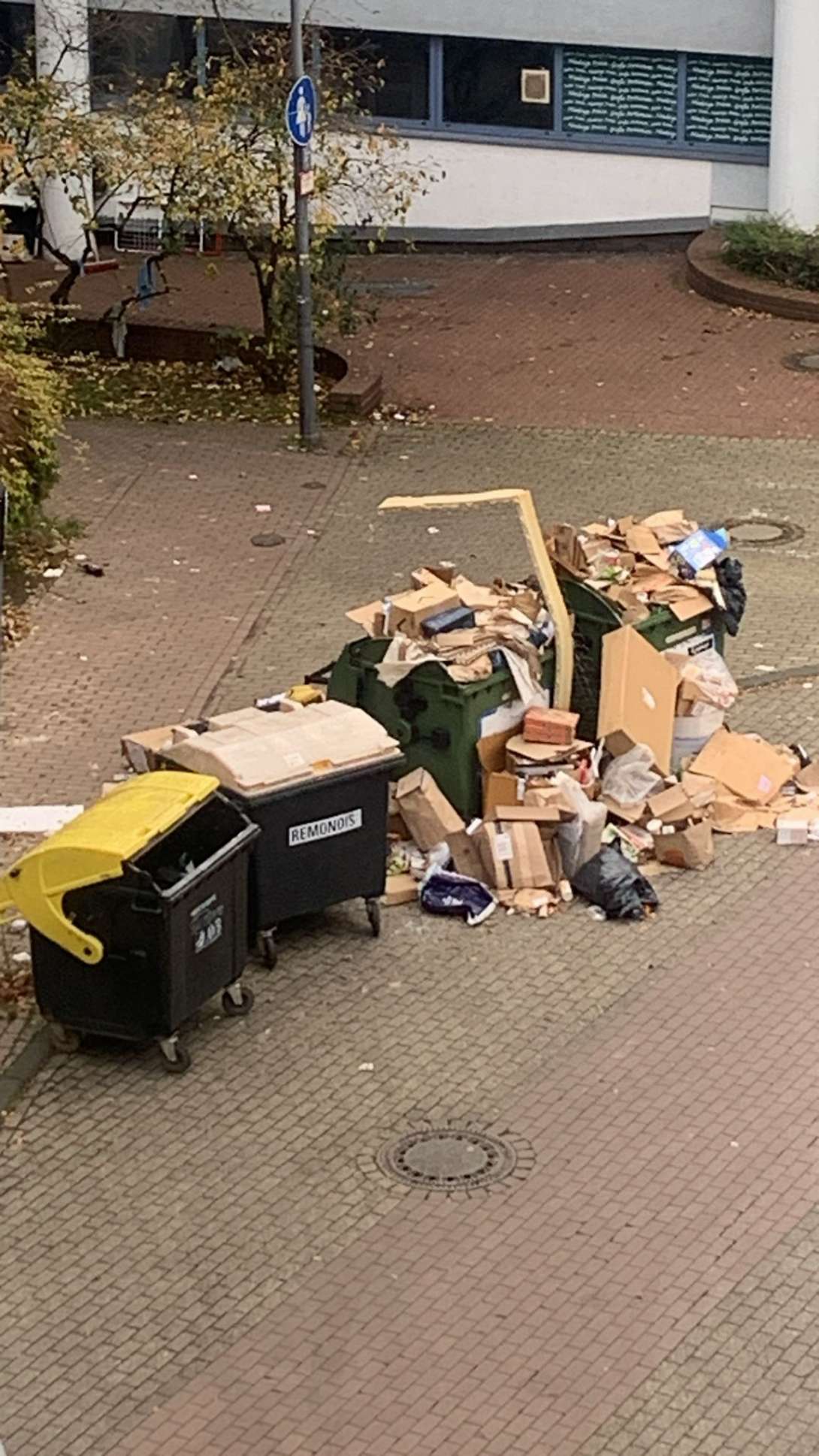 Bild zu gemeldetem Anliegen vom *2025-11-24 12:29:24