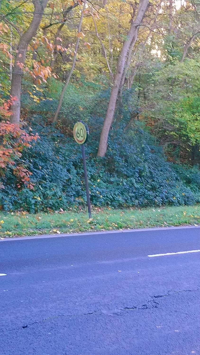 Bild zu gemeldetem Anliegen vom *2025-11-03 09:45:41