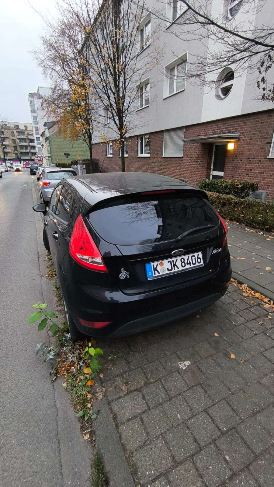 Bild zu gemeldetem Anliegen vom *2025-11-26 09:33:14