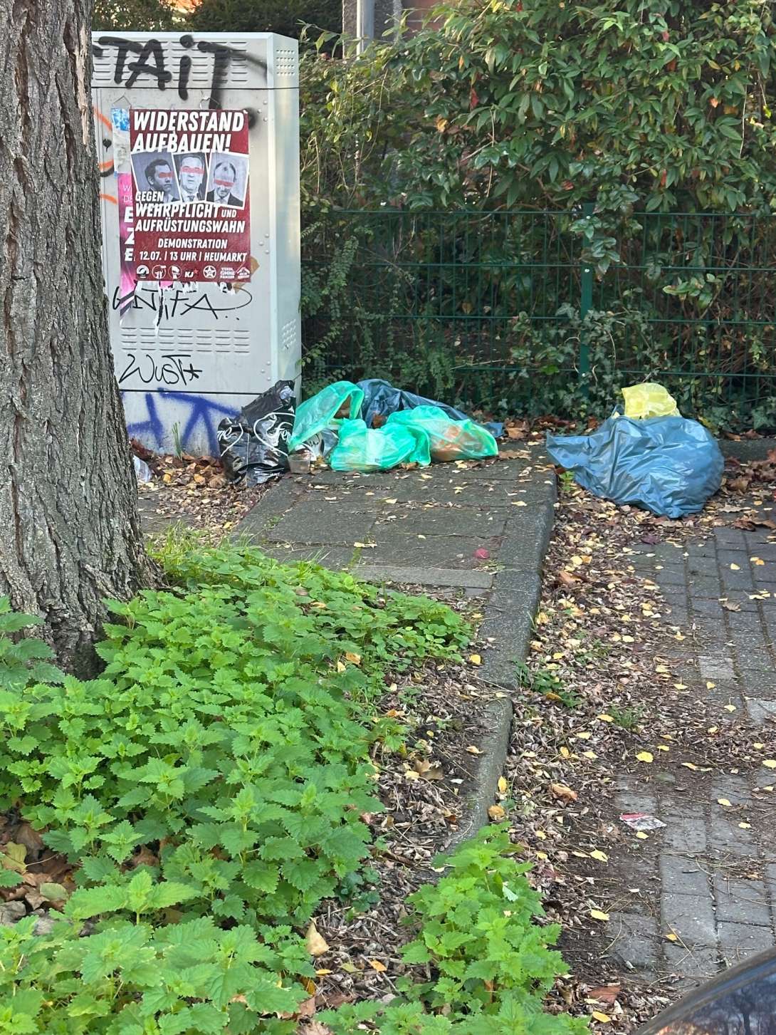 Bild zu gemeldetem Anliegen vom *2025-11-10 11:02:57