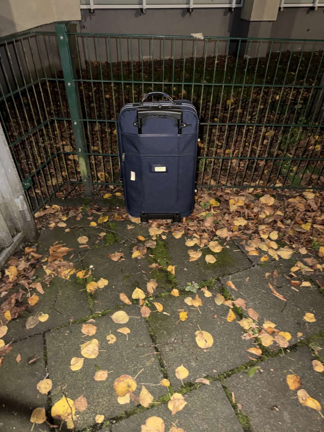 Bild zu gemeldetem Anliegen vom *2025-11-04 08:43:23