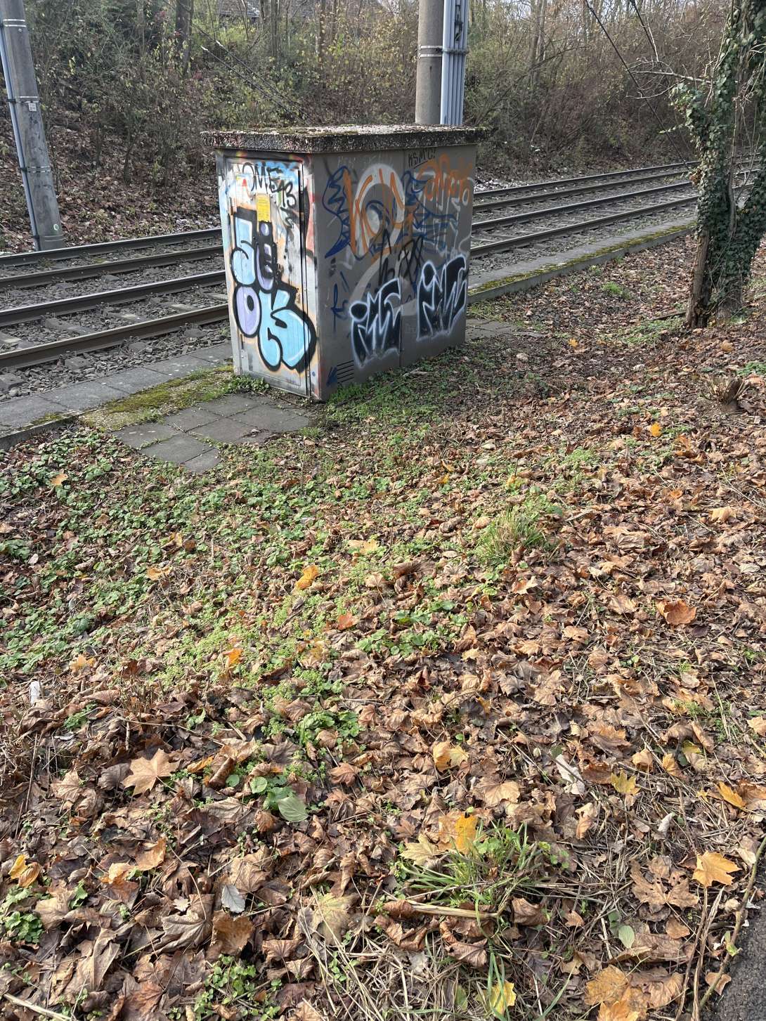 Bild zu gemeldetem Anliegen vom *2025-11-23 14:32:50