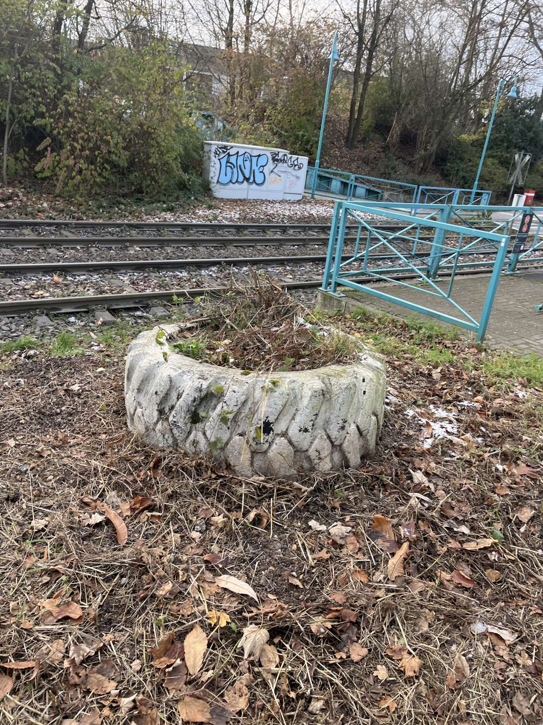 Bild zu gemeldetem Anliegen vom *2025-11-24 15:01:52