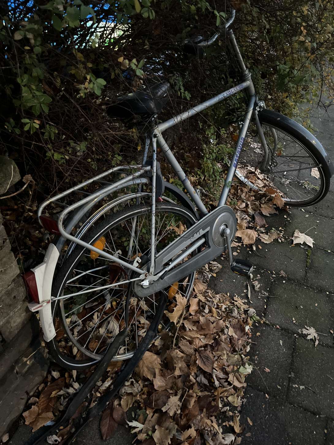 Bild zu gemeldetem Anliegen vom *2025-11-24 15:27:32