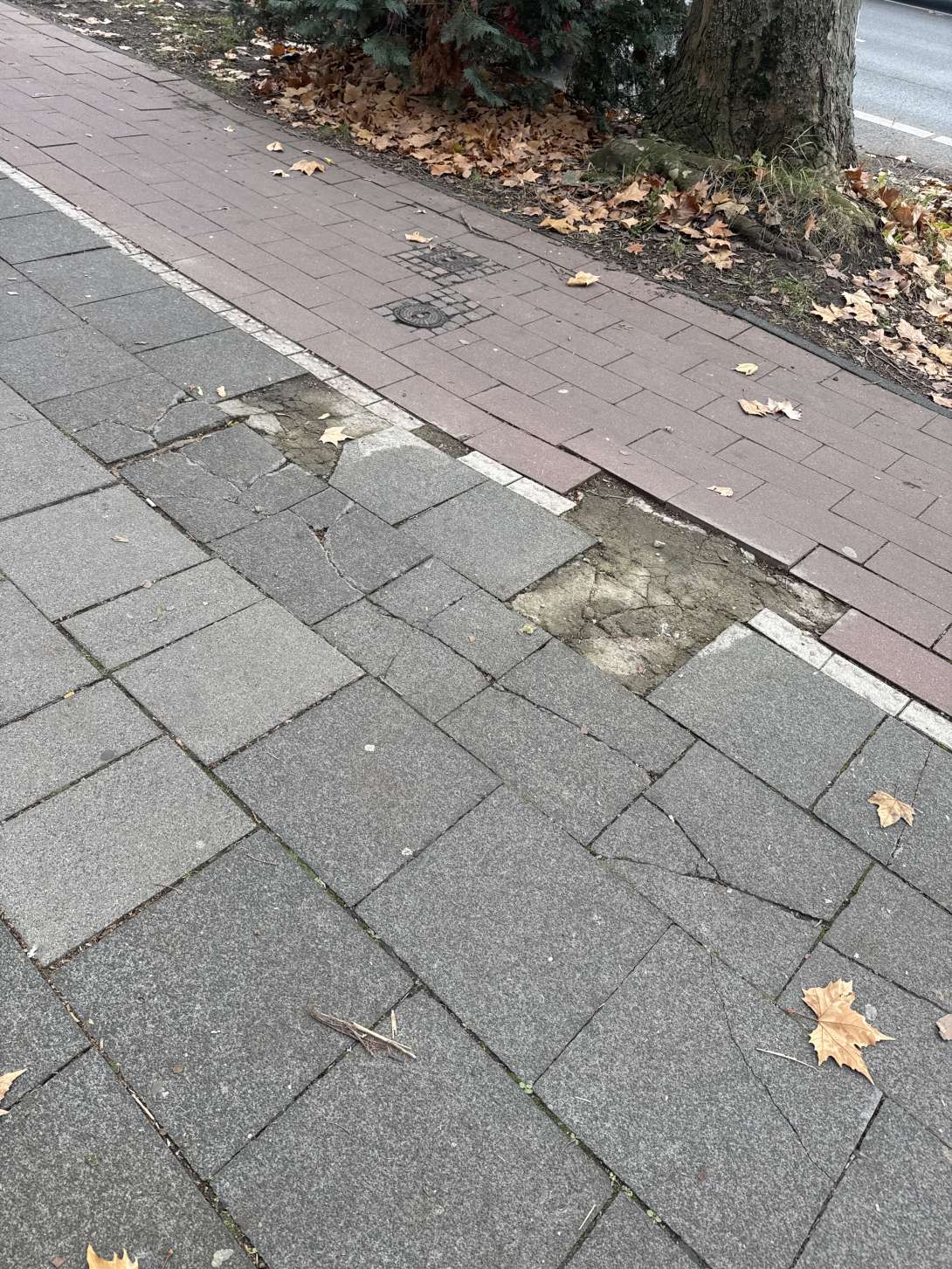 Bild zu gemeldetem Anliegen vom *2025-11-27 10:31:58