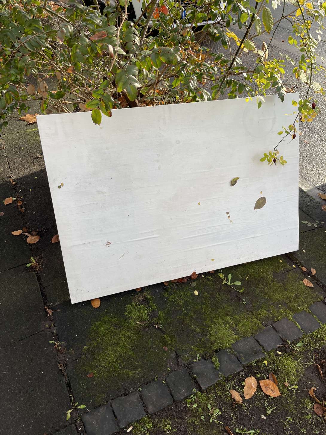 Bild zu gemeldetem Anliegen vom *2025-12-01 10:09:29