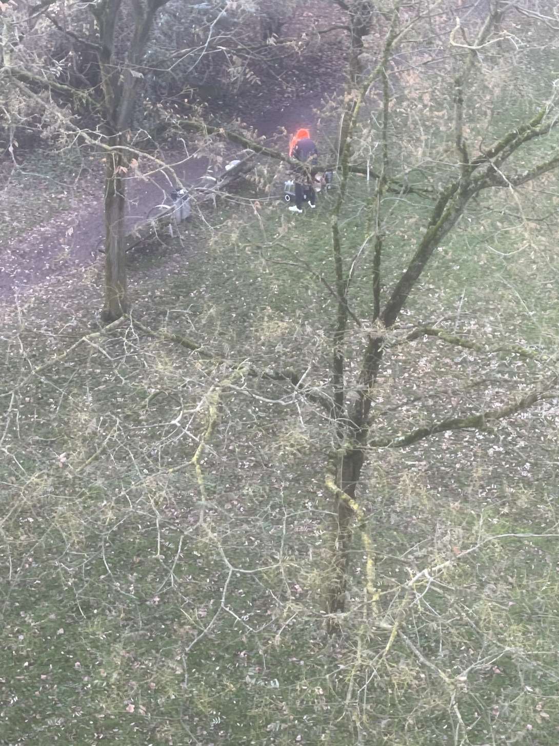 Bild zu gemeldetem Anliegen vom *2025-11-29 14:20:50