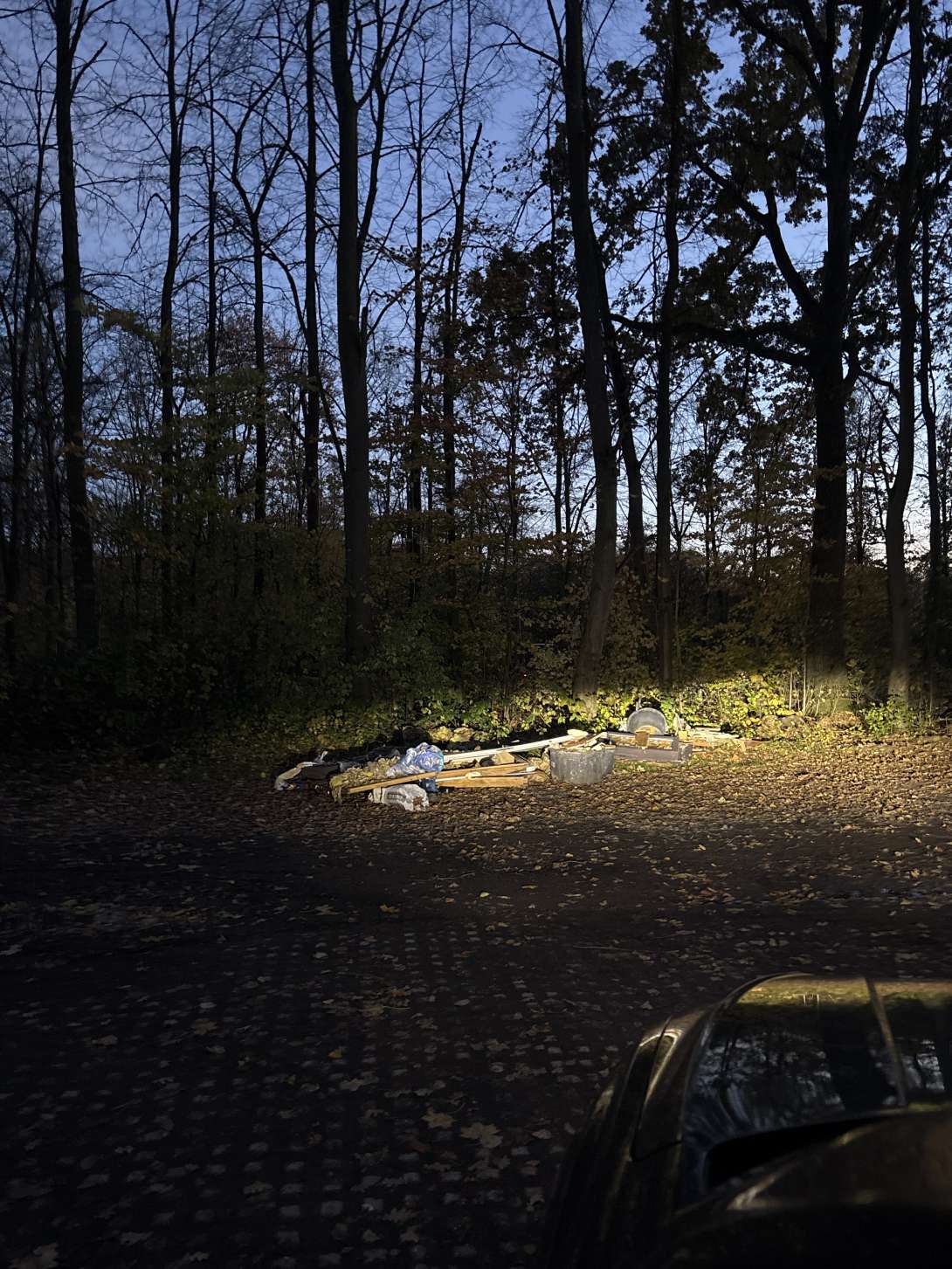 Bild zu gemeldetem Anliegen vom *2025-11-05 17:27:11