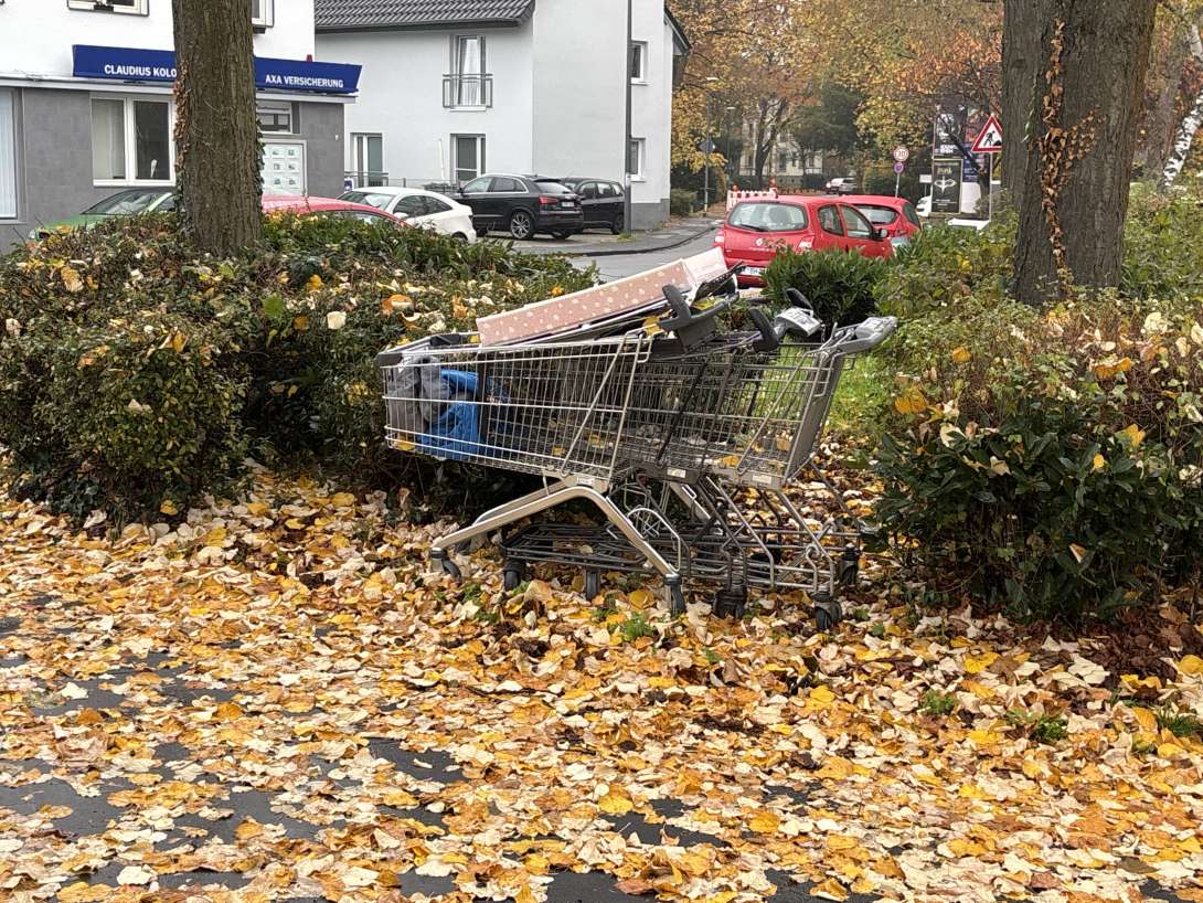 Bild zu gemeldetem Anliegen vom *2025-11-10 10:18:57