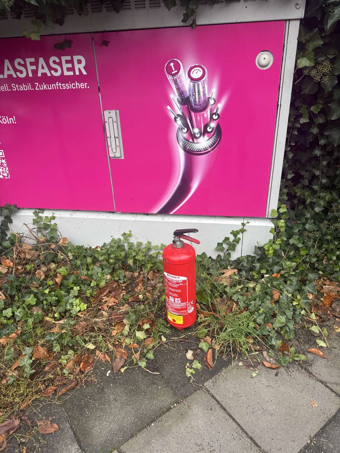 Bild zu gemeldetem Anliegen vom *2025-11-10 10:32:43