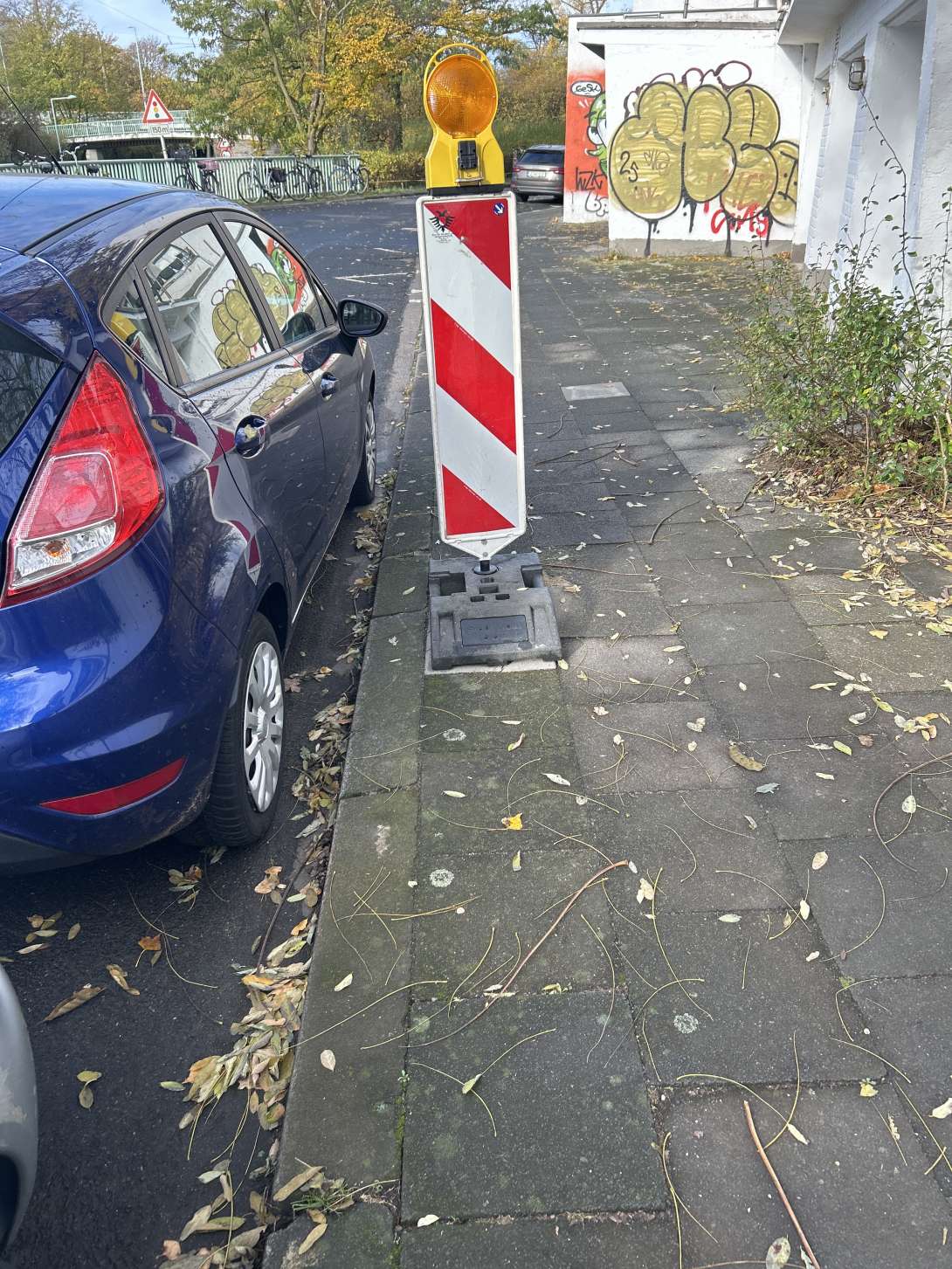 Bild zu gemeldetem Anliegen vom *2025-11-03 09:24:26