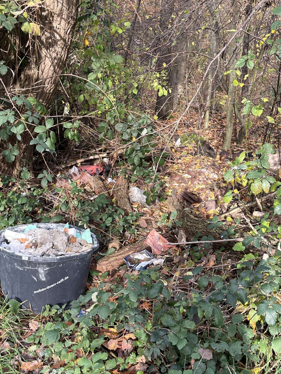 Bild zu gemeldetem Anliegen vom *2025-11-12 13:10:50