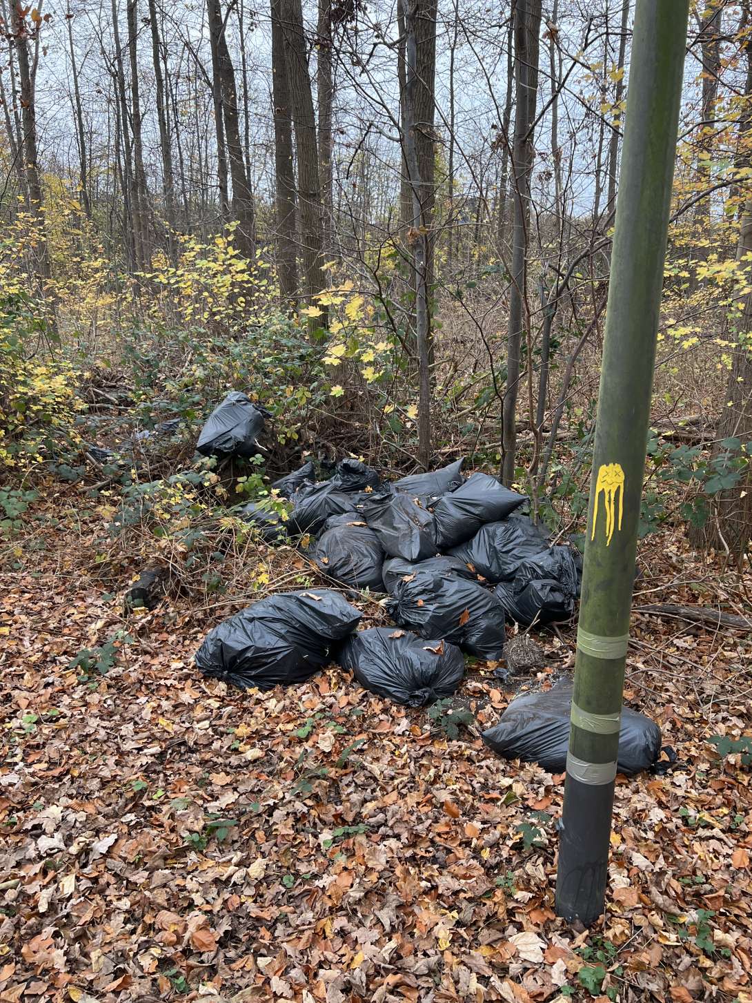 Bild zu gemeldetem Anliegen vom *2025-11-14 15:29:14