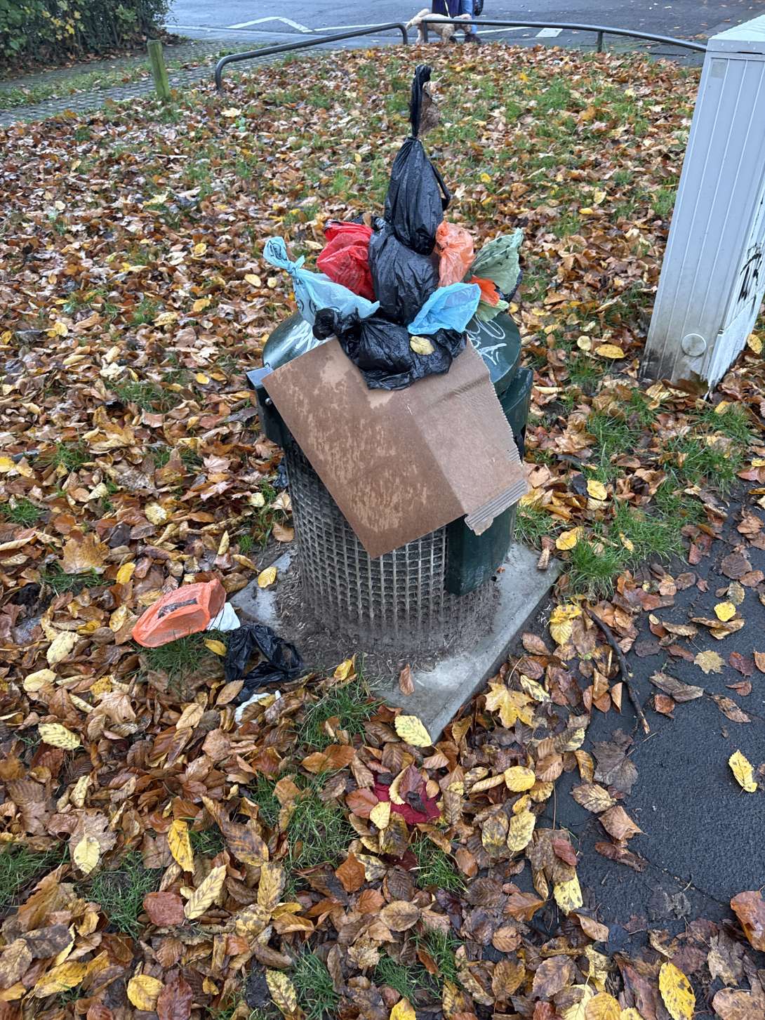 Bild zu gemeldetem Anliegen vom *2025-11-15 06:30:01