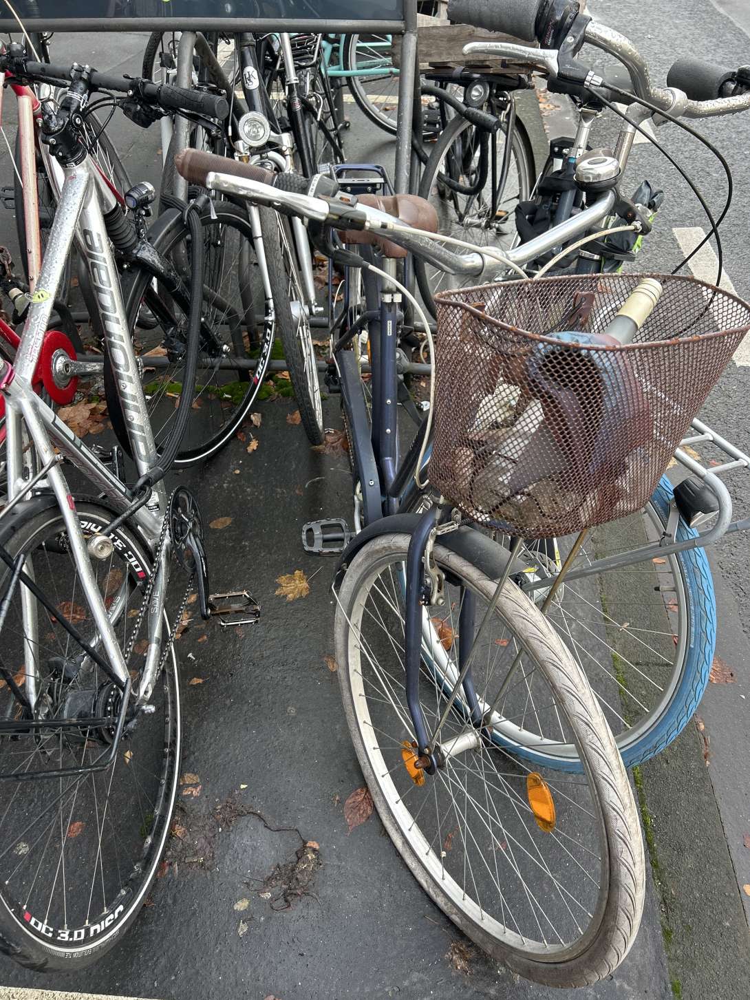 Bild zu gemeldetem Anliegen vom *2025-11-16 09:27:26