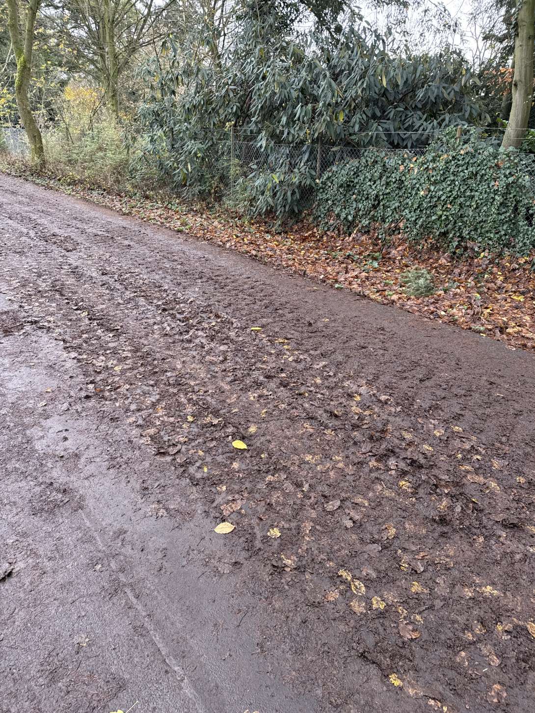 Bild zu gemeldetem Anliegen vom *2025-11-18 12:21:30