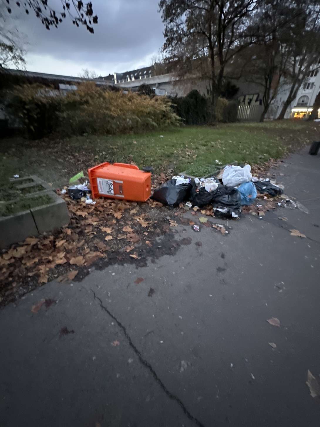 Bild zu gemeldetem Anliegen vom *2025-11-20 15:32:58