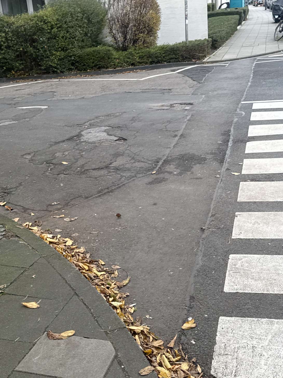 Bild zu gemeldetem Anliegen vom *2025-11-23 12:12:54