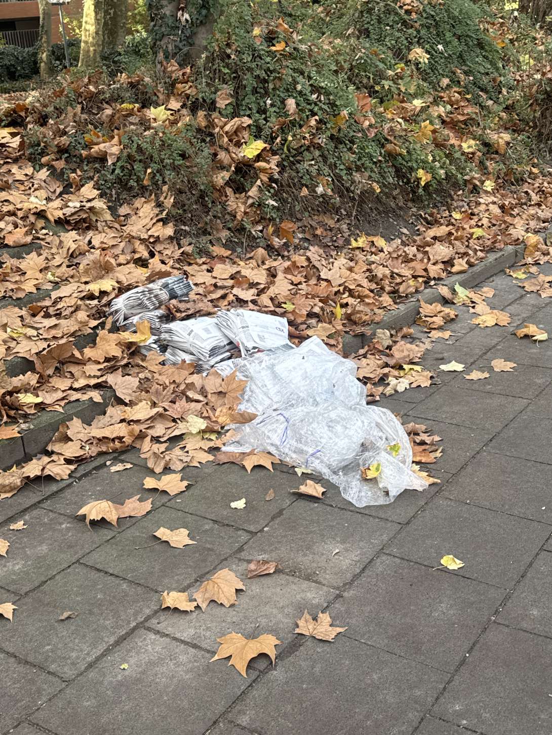 Bild zu gemeldetem Anliegen vom *2025-11-23 12:16:06