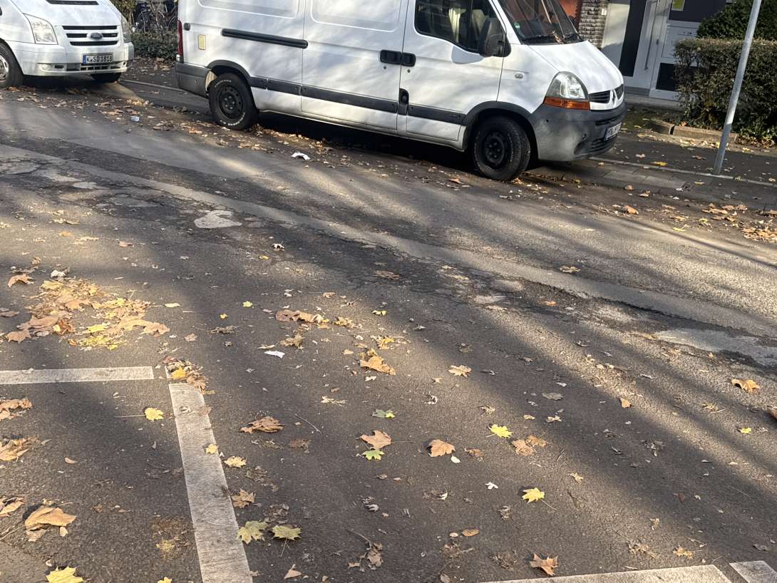 Bild zu gemeldetem Anliegen vom *2025-11-23 12:18:20