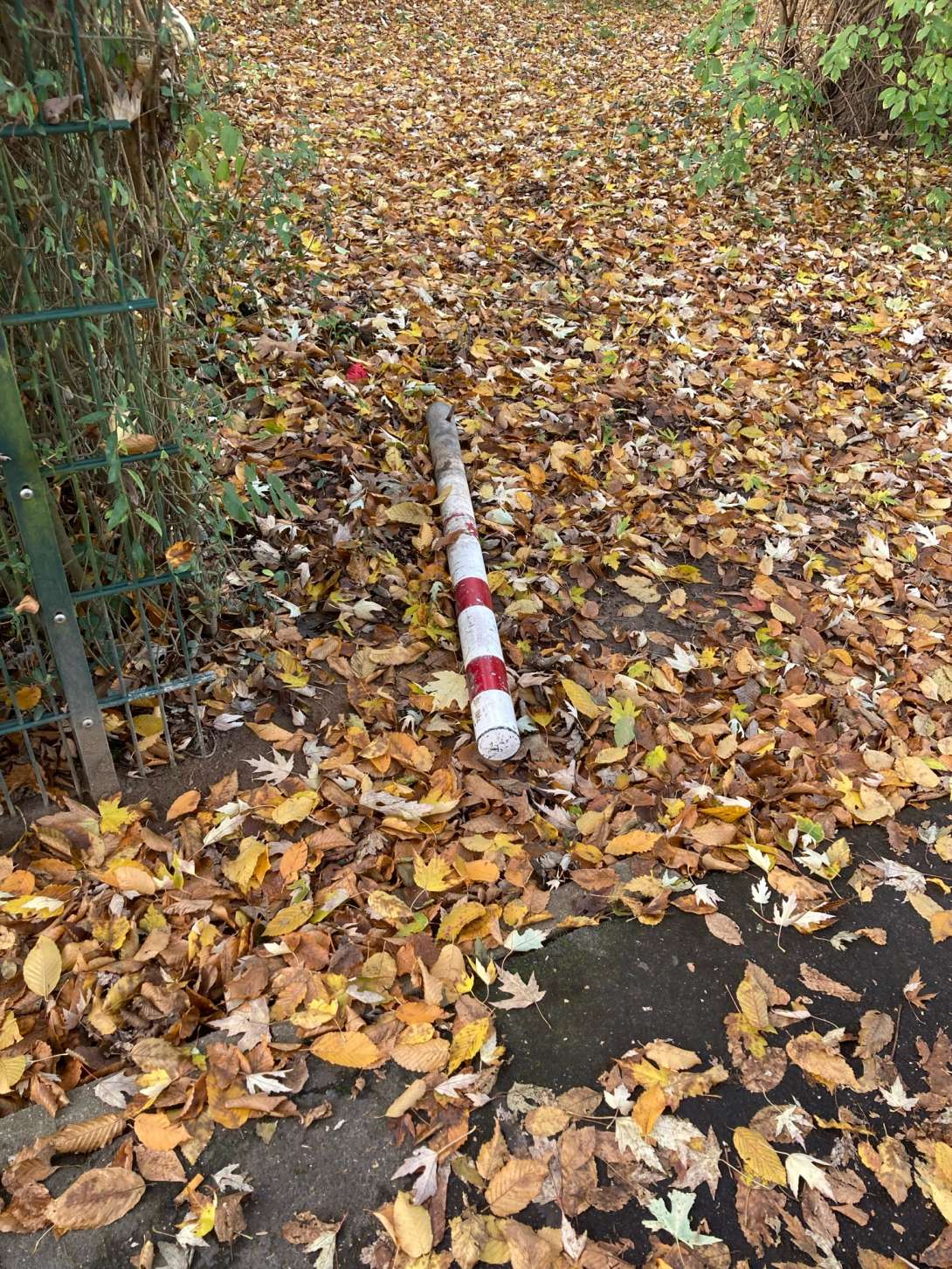 Bild zu gemeldetem Anliegen vom *2025-11-13 16:45:25