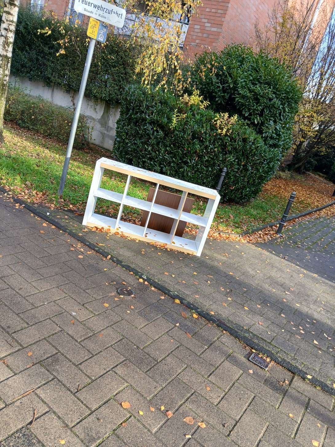 Bild zu gemeldetem Anliegen vom *2025-12-01 13:36:27